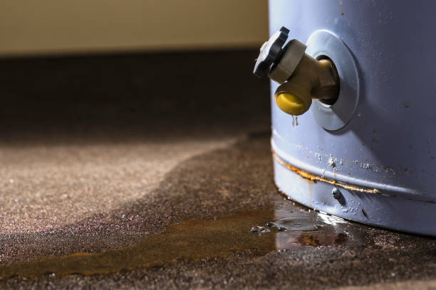 Best Flooded house restoration  in Mondovi, WI