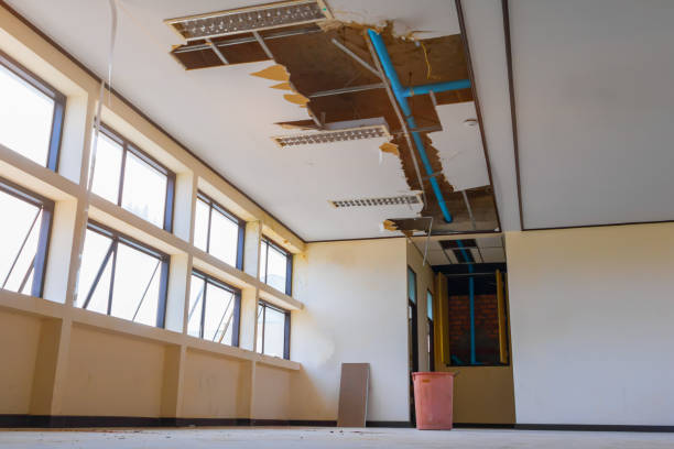 Best Water damage contractors near me  in Mondovi, WI