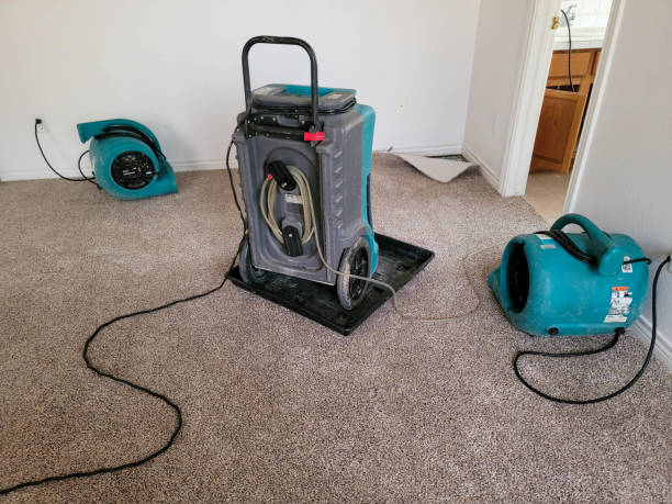Best Water damage restoration cost  in Mondovi, WI