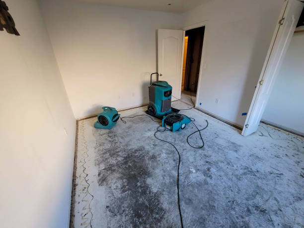 Best Water damage restoration services  in Mondovi, WI