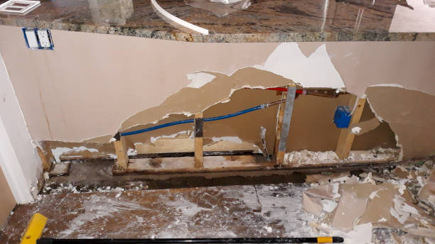 Best Water damage cleanup near me  in Mondovi, WI