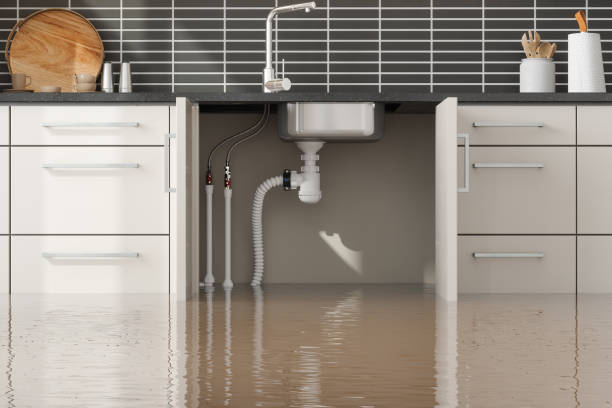 Best Carpet water damage restoration  in Mondovi, WI