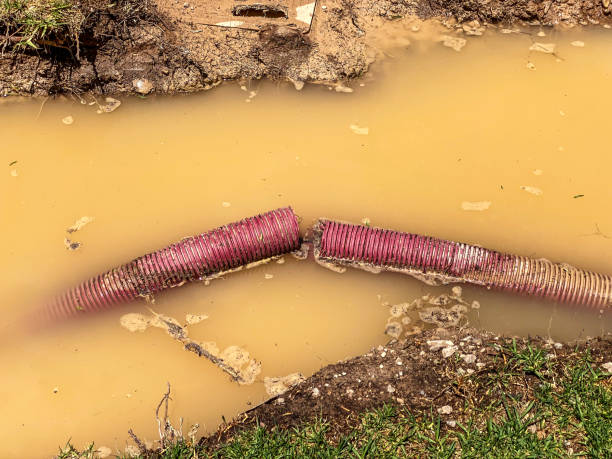 Best Basement water damage restoration  in Mondovi, WI