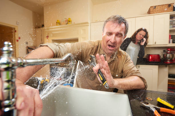 Best Flooded house restoration  in Mondovi, WI